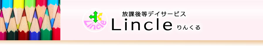  ���ݸ����ǥ������ӥ���Lincle